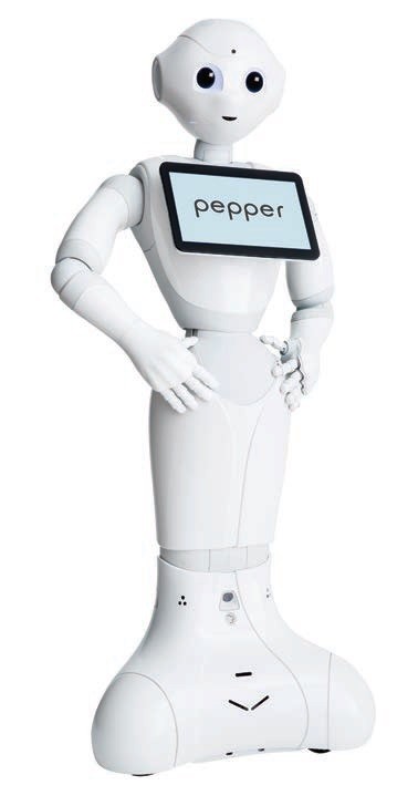 Humanoidní robot, dokonalý pomocník